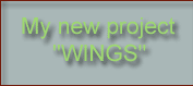 My new project «WINGS»